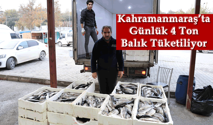 Kahramanmaraş'ta günlük 4 ton balık tüketiliyor