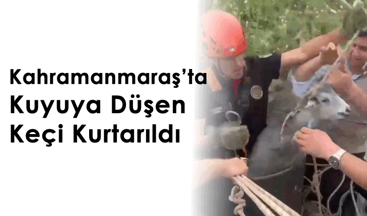 Kahramanmaraş'ta kuyuya düşen keçi kurtarıldı