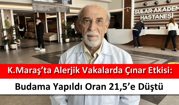 Kahramanmaraş'ta alerjik vakalarda çınar etkisi: Budama yapıldı oran 21,5'e düştü