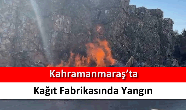 Kahramanmaraş'ta kağıt fabrikasında yangın