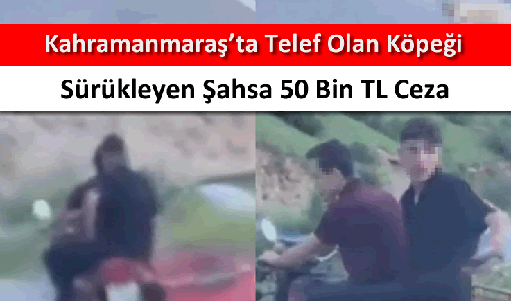 Kahramanmaraş'ta telef olan köpeği sürükleyen şahsa 50 bin TL ceza