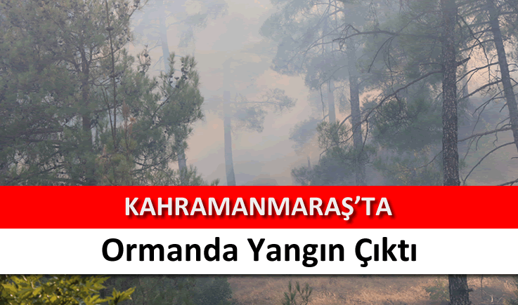 Kahramanmaraş'ta ormanda yangın çıktı