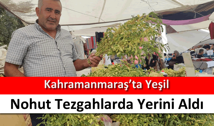 Kahramanmaraş'ta yeşil nohut tezgahlarda yerini aldı