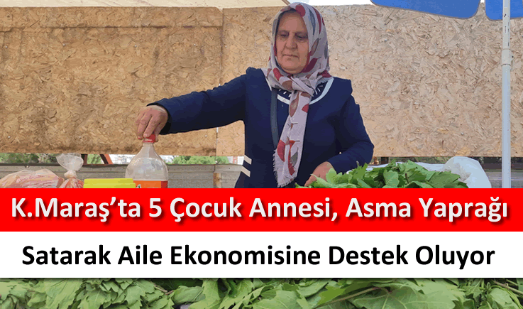 Kahramanmaraş'ta 5 çocuk annesi, asma yaprağı satarak aile ekonomisine destek oluyor