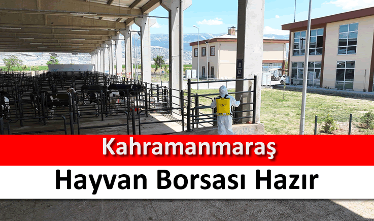 Kahramanmaraş Hayvan Borsası hazır