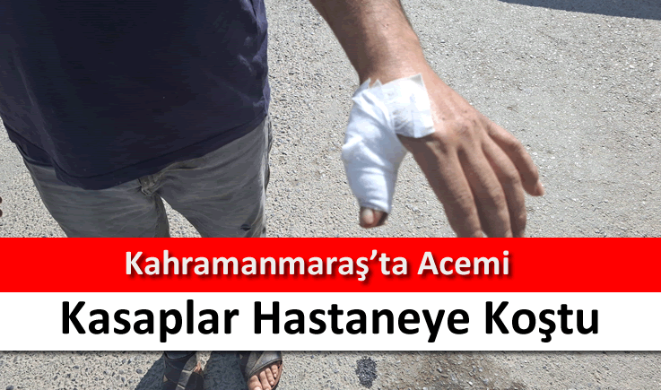 Kahramanmaraş'ta acemi kasaplar hastaneye koştu