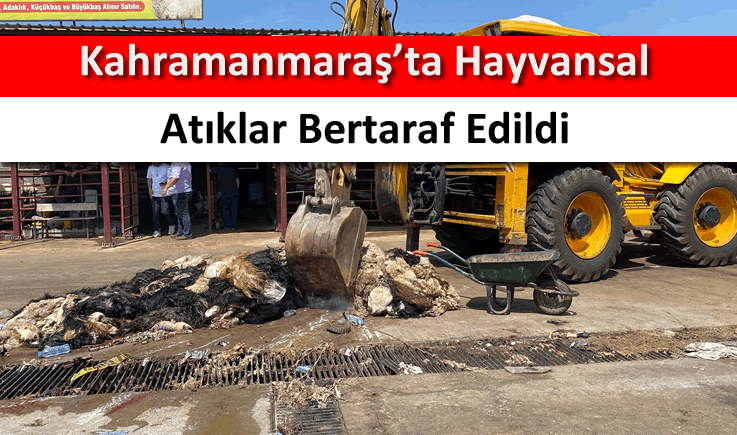 Kahramanmaraş'ta hayvansal atıklar bertaraf edildi