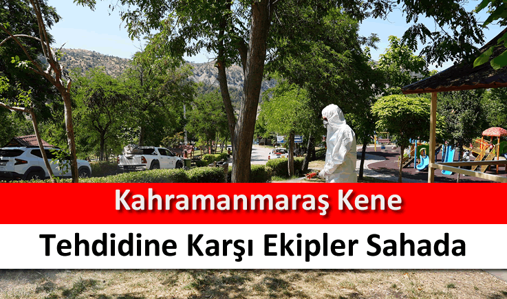 Kahramanmaraş kene tehdidine karşı ekipler sahada