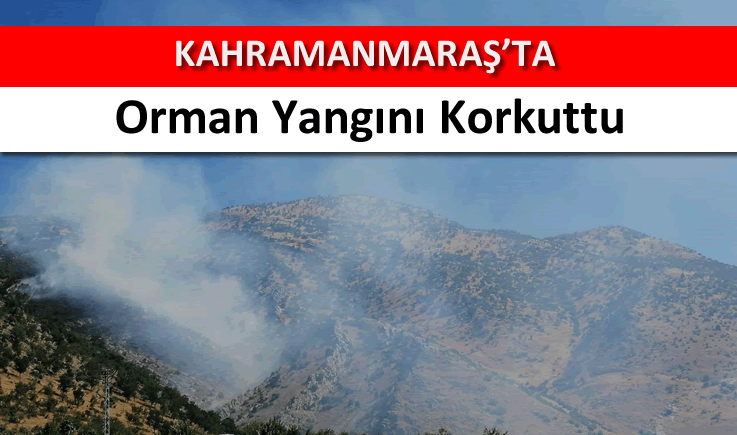 Kahramanmaraş'ta orman yangını korkuttu