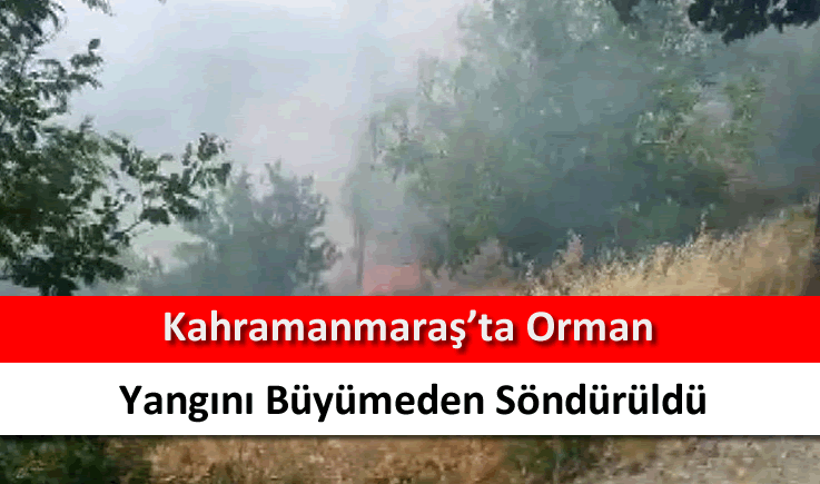 Kahramanmaraş'ta orman yangını büyümeden söndürüldü