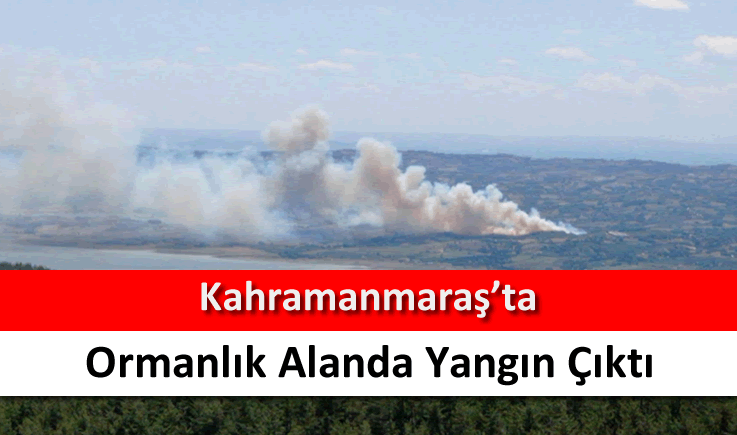 Kahramanmaraş’ta ormanlık alanda yangın çıktı