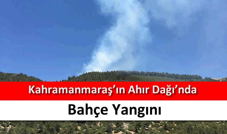 Kahramanmaraş'ın Ahır Dağı'nda bahçe yangını