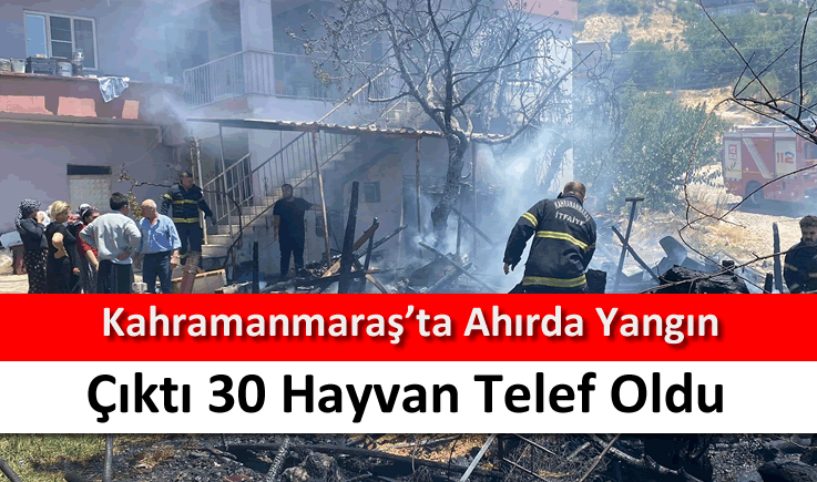 Kahramanmaraş'ta ahırda yangın çıktı 30 hayvan telef oldu