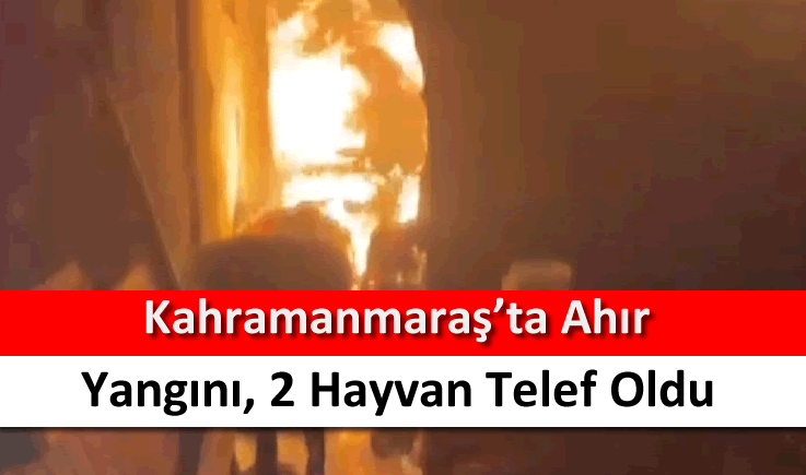 Kahramanmaraş'ta ahır yangını, 2 hayvan telef oldu
