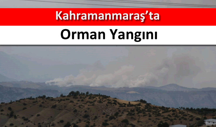 Kahramanmaraş’ta orman yangını