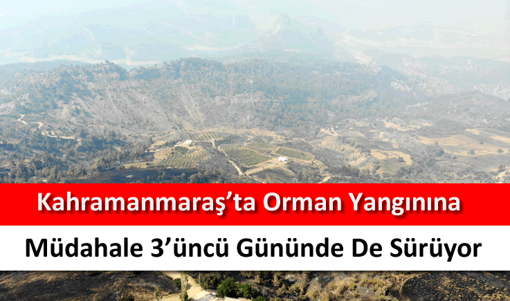 Kahramanmaraş'ta orman yangınına müdahale 3'üncü gününde de sürüyor