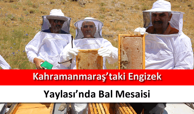 Kahramanmaraş'taki Engizek Yaylası'nda bal mesaisi