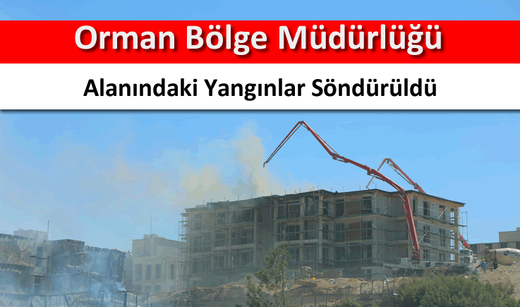 Orman Bölge Müdürlüğü alanındaki yangınlar söndürüldü