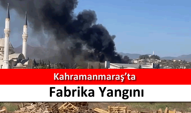 Kahramanmaraş'ta fabrika yangını