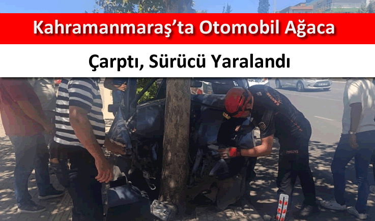 Kahramanmaraş'ta otomobil ağaca çarptı, sürücü yaralandı