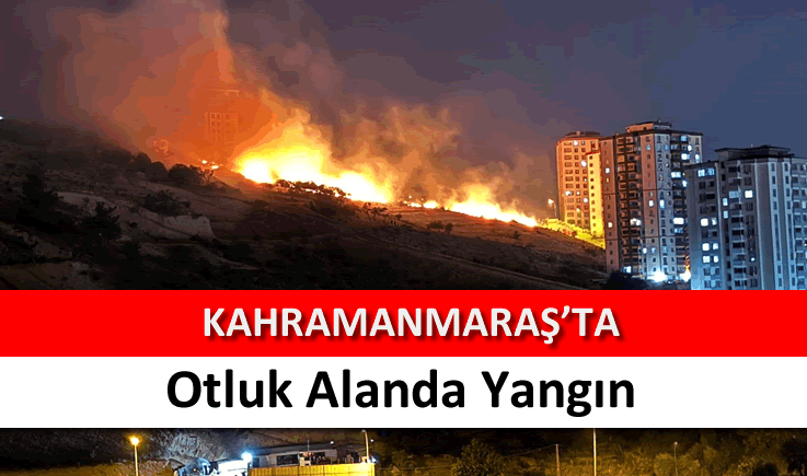 Kahramanmaraş'ta otluk alanda yangın