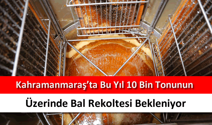 Kahramanmaraş'ta bu yıl 10 bin tonunun üzerinde bal rekoltesi bekleniyor
