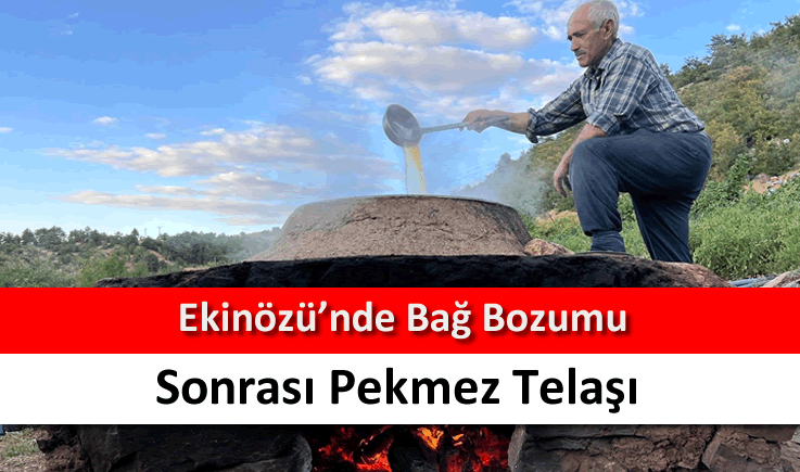 Ekinözü'nde bağ bozumu sonrası pekmez telaşı