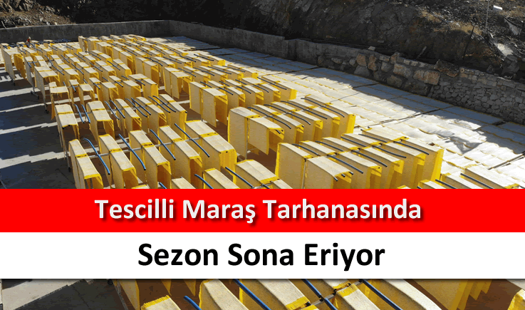 Tescilli Maraş tarhanasında sezon sona eriyor