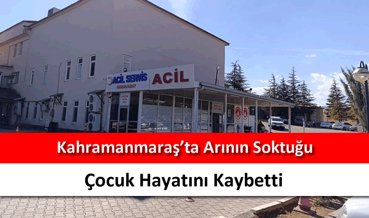 Kahramanmaraş'ta arının soktuğu çocuk hayatını kaybetti