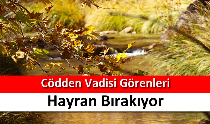 Cödden Vadisi görenleri hayran bırakıyor
